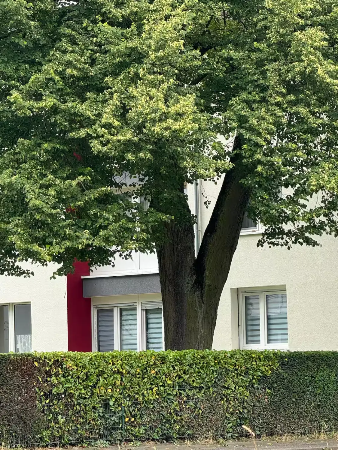 Wohlfühlen – Außenbereich